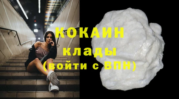 стаф Ладушкин