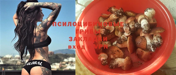 стаф Ладушкин