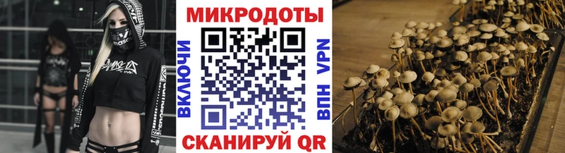 Галлюциногенные грибы MAGIC MUSHROOMS  наркота  Жигулёвск 